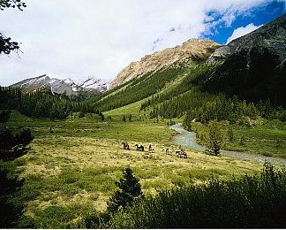 《挖洞鼠米娜》制作人：现在是个游戏都有格挡设计了