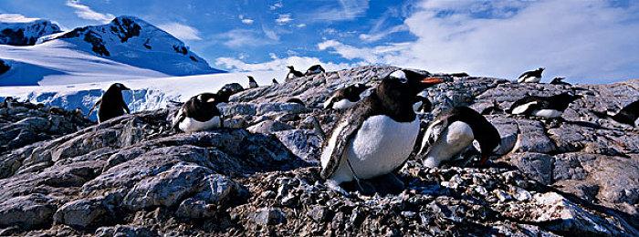 3DM速报：《艾尔登法环》销量1200万 《怪猎崛起曙光》6月30发售